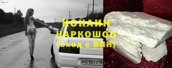 шишки Белоозёрский