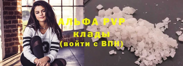 прущие грибы Беломорск