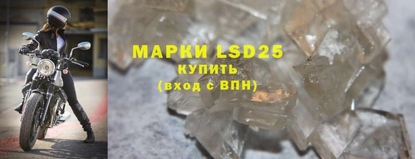 шишки Белоозёрский