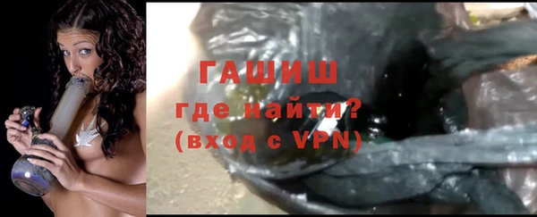 ECSTASY Бородино
