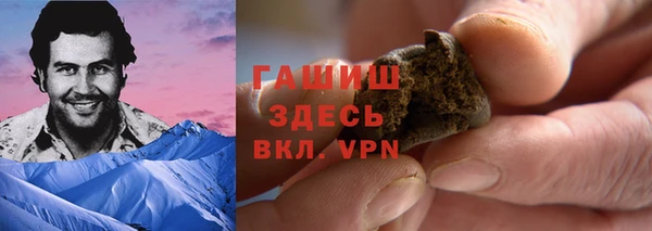прущие грибы Беломорск