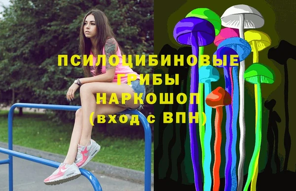 шишки Белоозёрский