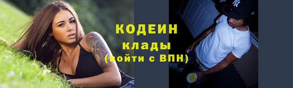 ECSTASY Бородино