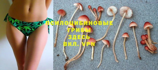 jwh Белокуриха