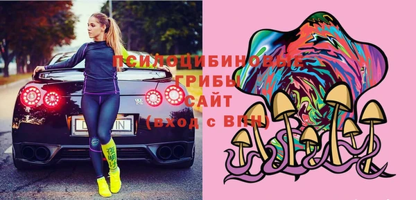 шишки Белоозёрский