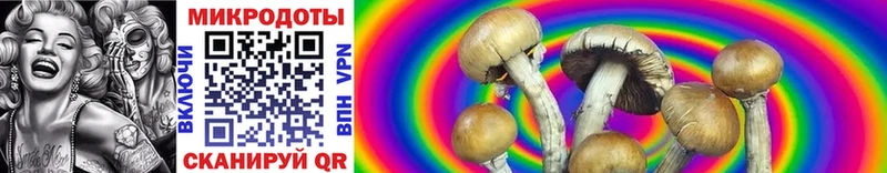 Псилоцибиновые грибы Cubensis  Белая Калитва 